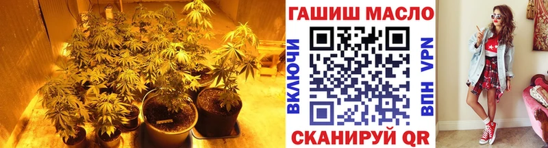 наркотики  Шагонар  ТГК THC oil 